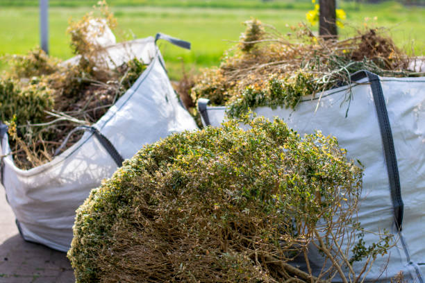 Best Junk Hauling Services  in Pinetop Lakeside, AZ