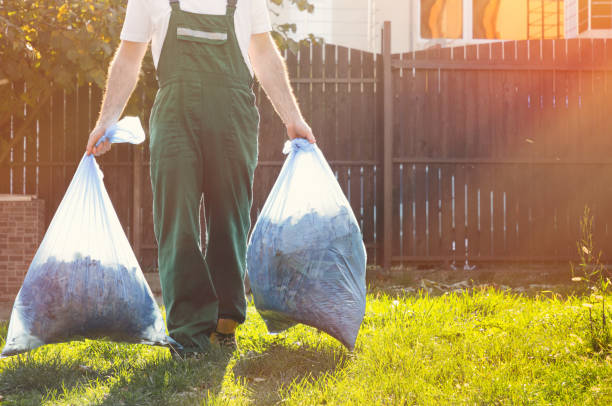 Best Construction Debris Removal  in Pinetop Lakeside, AZ